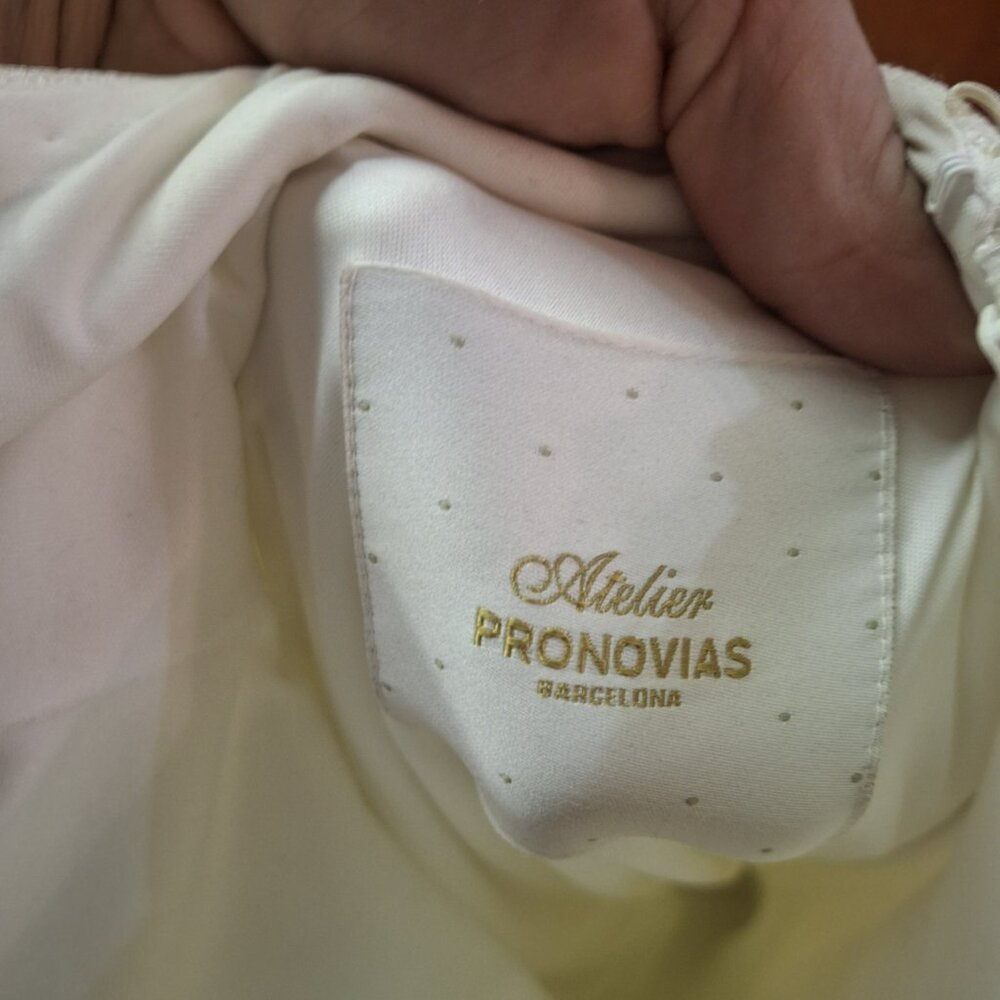 Atelier Pronovias "Irune" Wedding Gown (Unaltered) - Picture 12 of 12